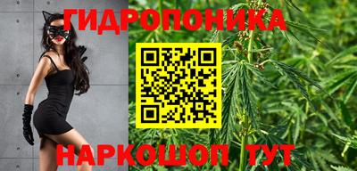 мяу мяу мука Бузулук