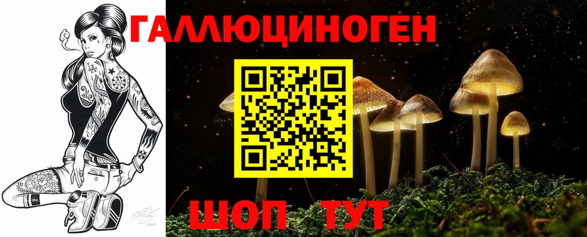 Псилоцибиновые грибы Cubensis  купить наркотик  Комсомольск-на-Амуре  Вход с VPN  Псилоцибиновые грибы мухоморы 