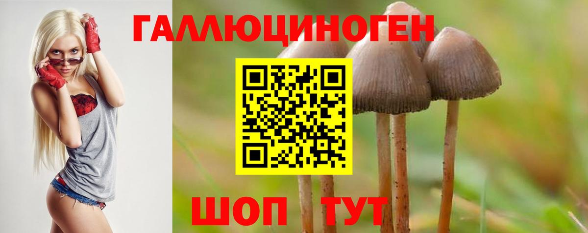 Псилоцибиновые грибы Cubensis Комсомольск-на-Амуре